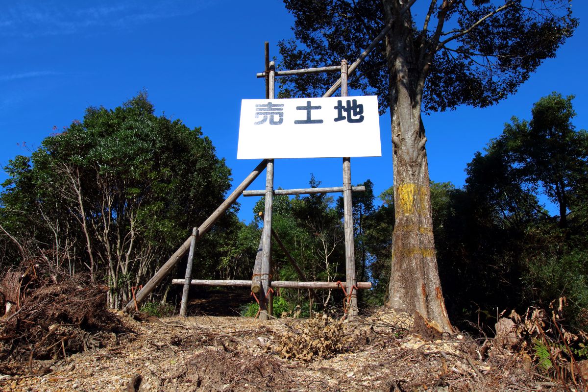 山林の売却