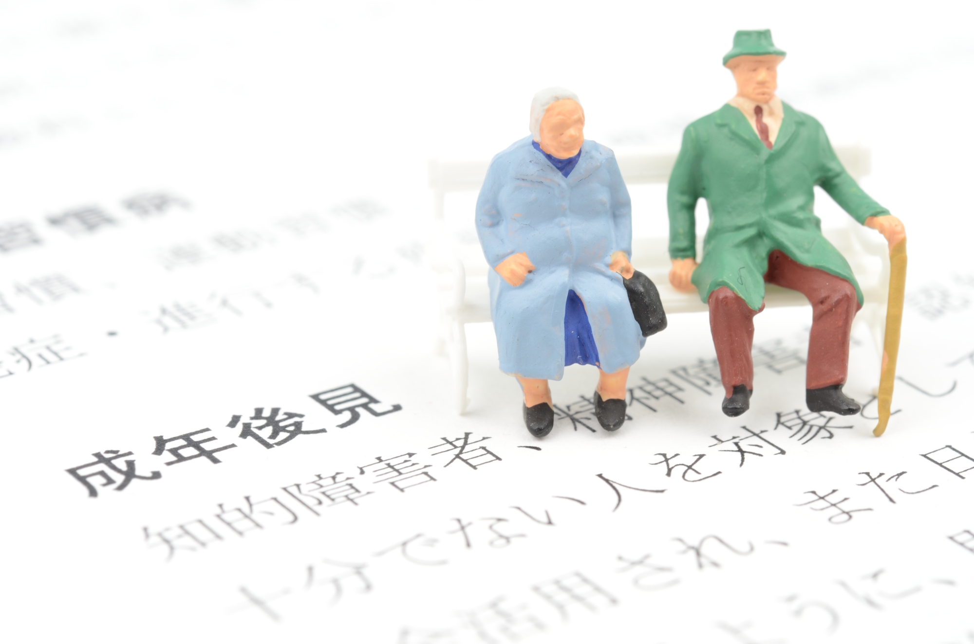 成年後見制度